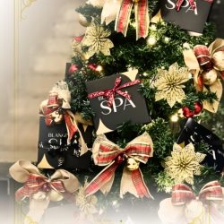 Day Spa - Refúgio Natalino